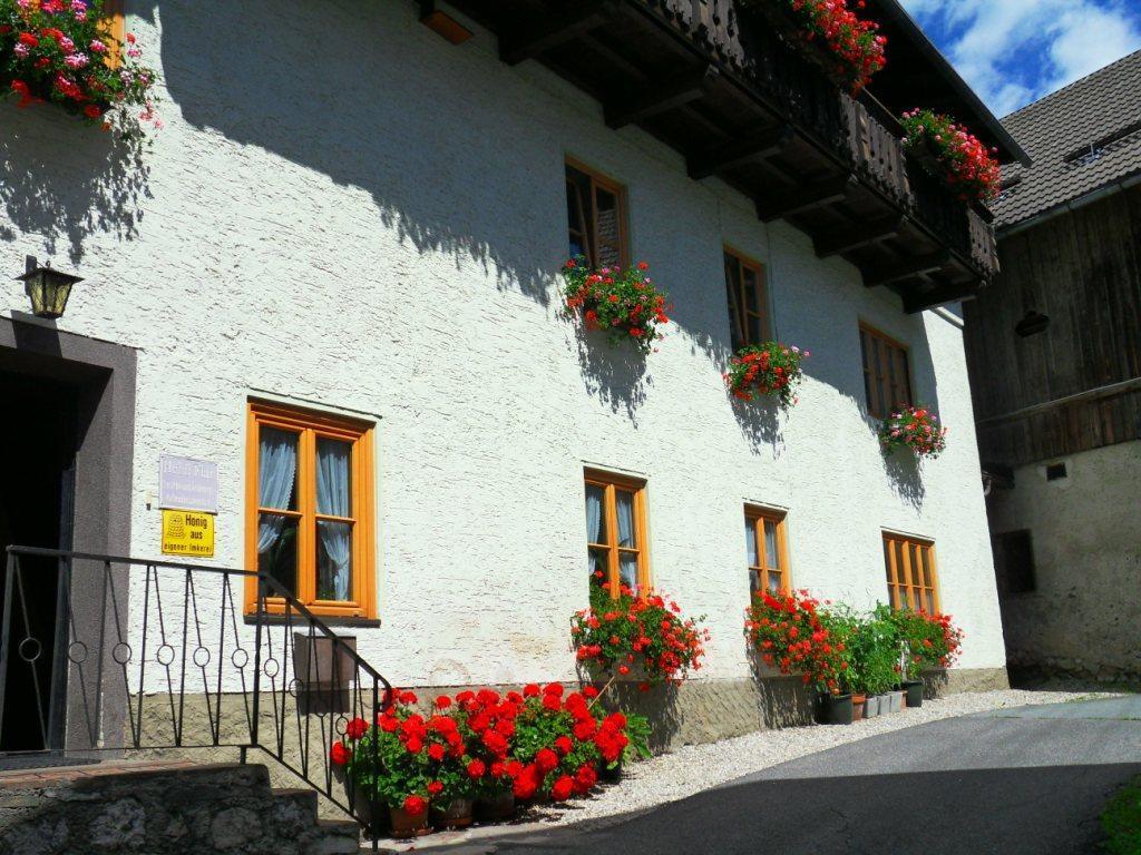 Haus Waldblick Lejlighed Weissensee Eksteriør billede