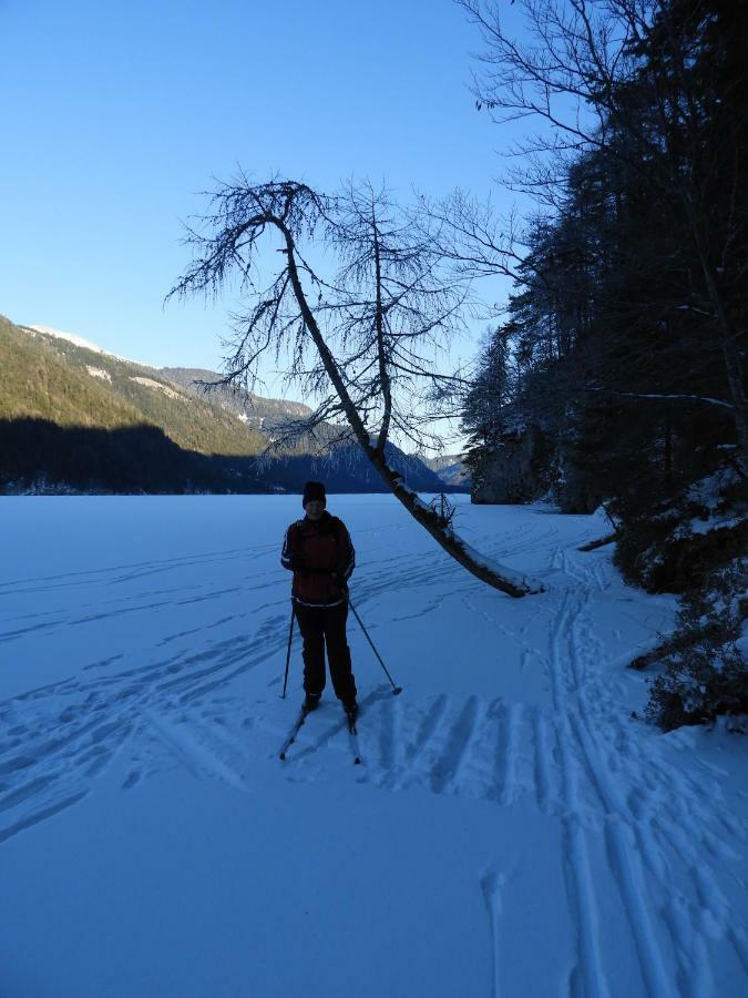 Haus Waldblick Lejlighed Weissensee Eksteriør billede