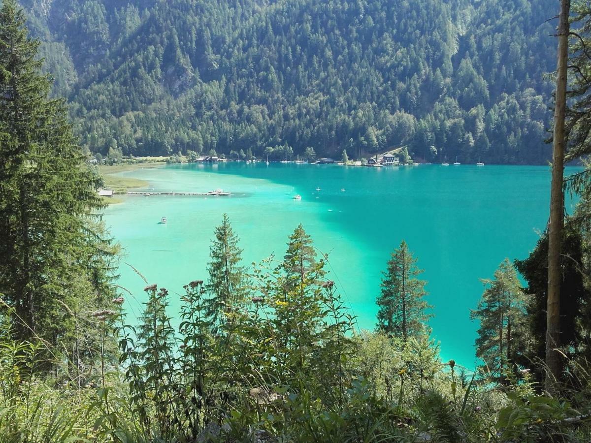 Haus Waldblick Lejlighed Weissensee Eksteriør billede