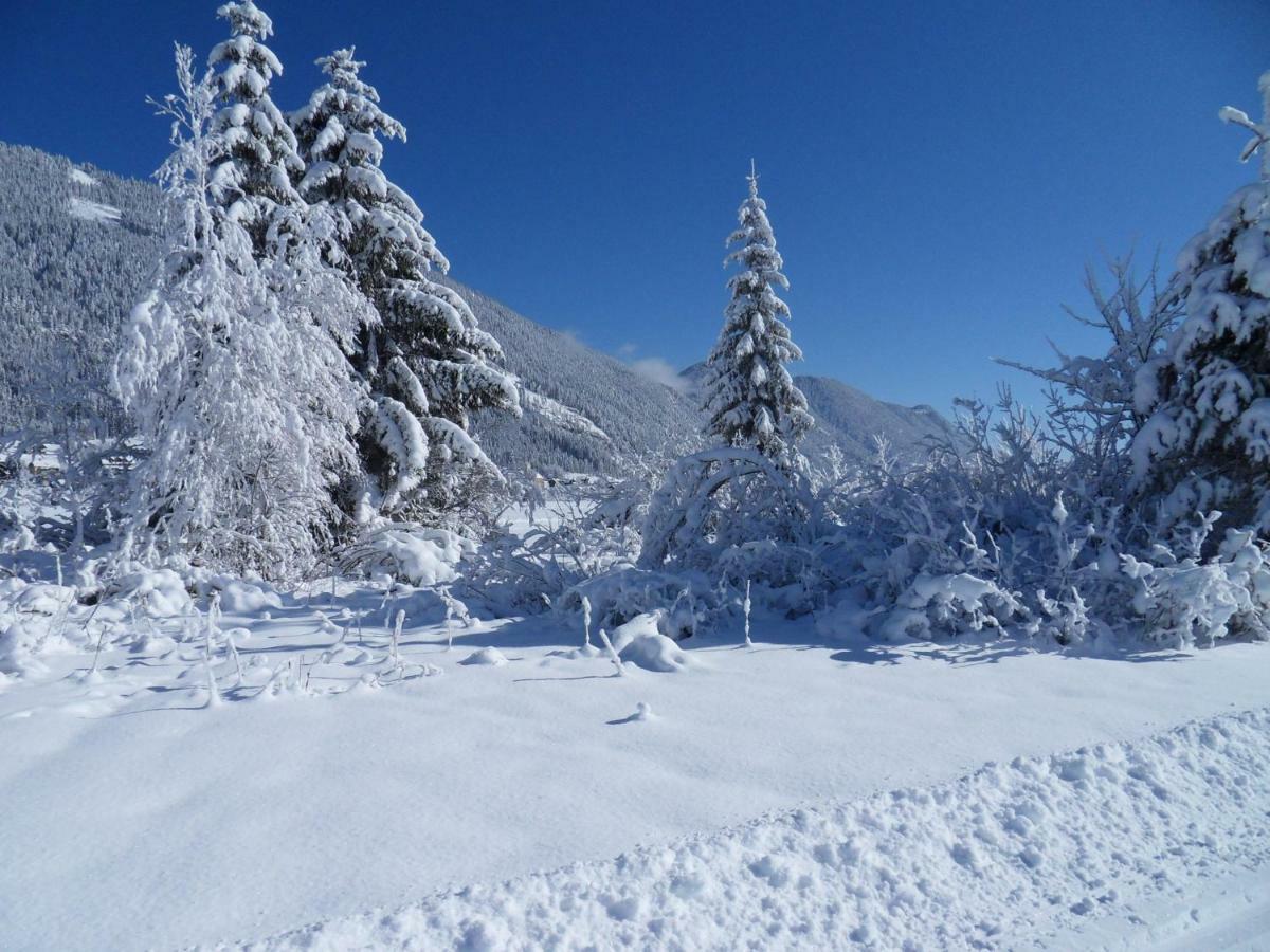 Haus Waldblick Lejlighed Weissensee Eksteriør billede